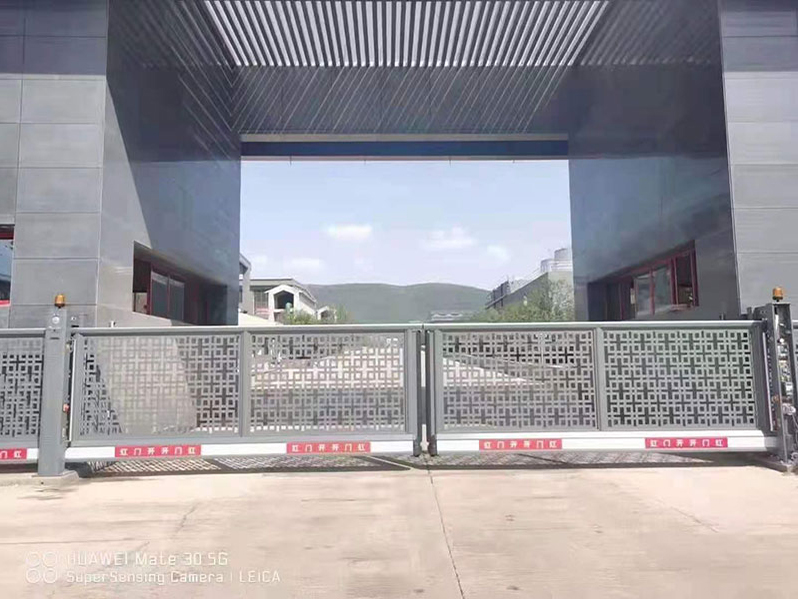 私人定制款懸浮門(mén)